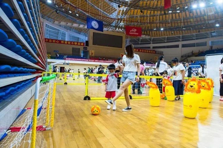 派迪茵训练器,派迪茵射门训练器