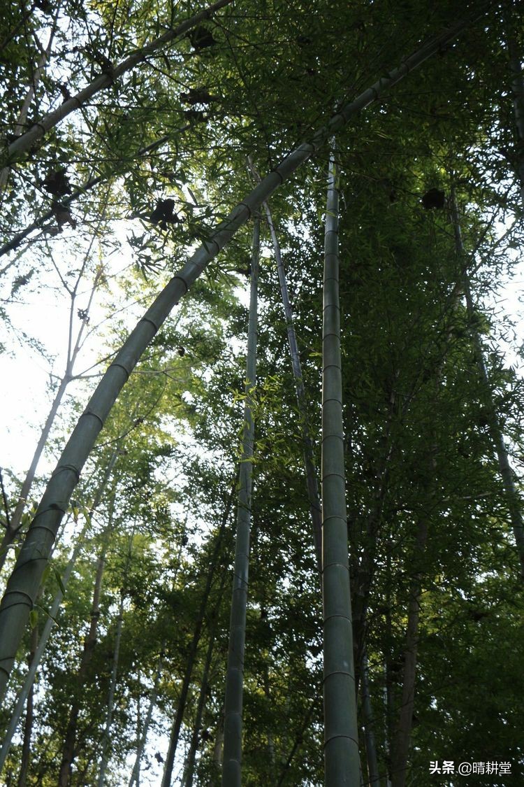 赣州峰山附近一日游自驾游景点,赣州峰山美景