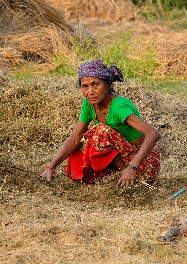 尼泊尔十堰,尼泊尔为什么这么穷
