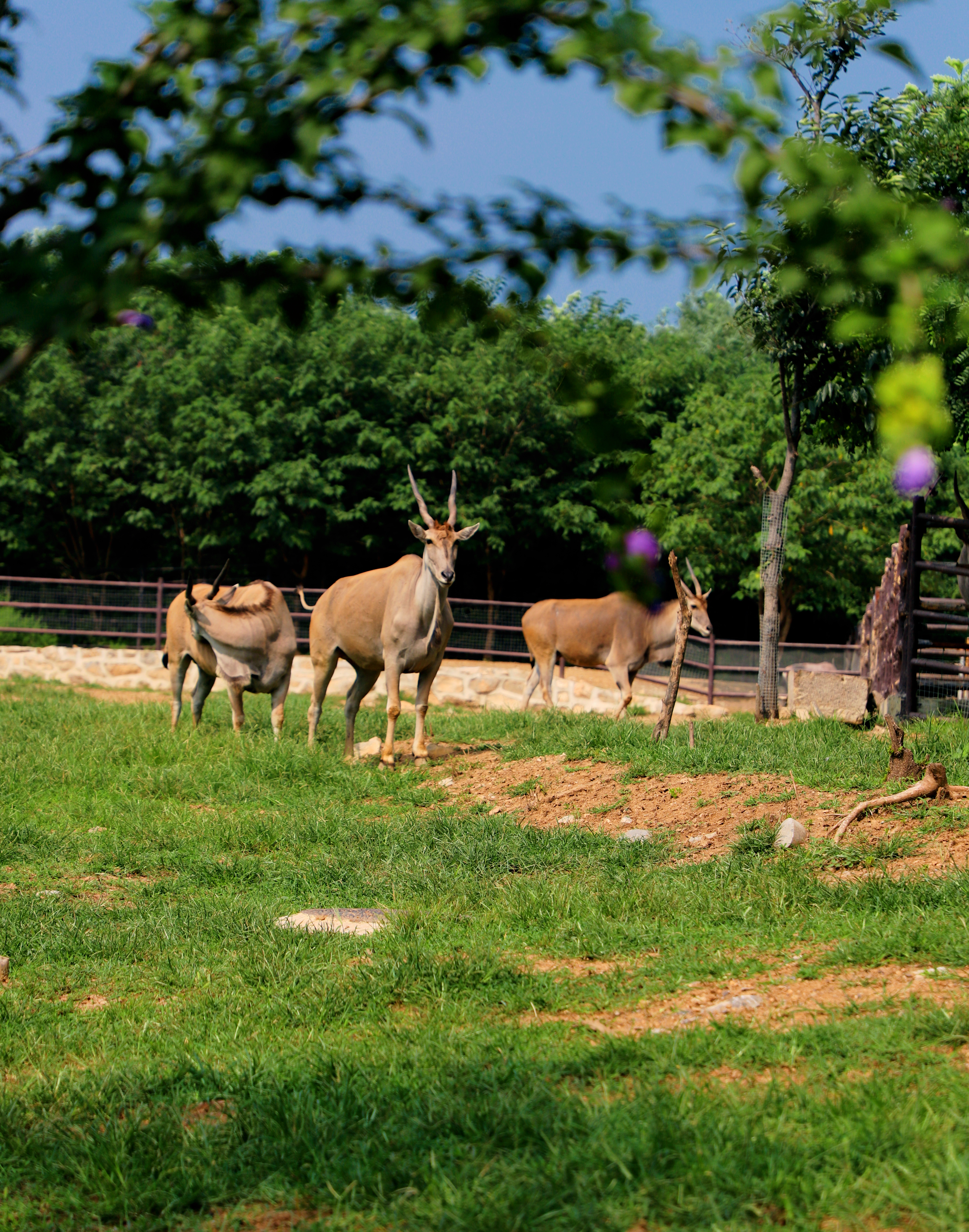 济南周末冬季遛娃,济南遛娃好玩的地方