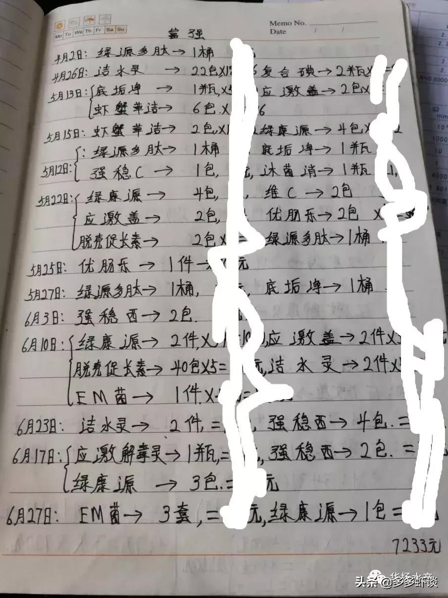 虾蟹高效养殖方法和技术,虾蟹混养如何提高青虾的养殖效益