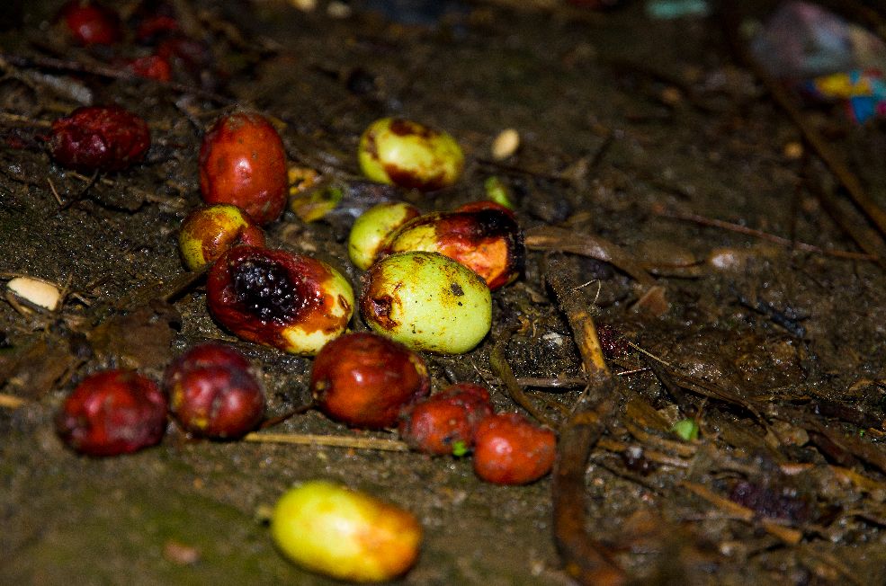 尼康d700的下一代,十年前的尼康d700