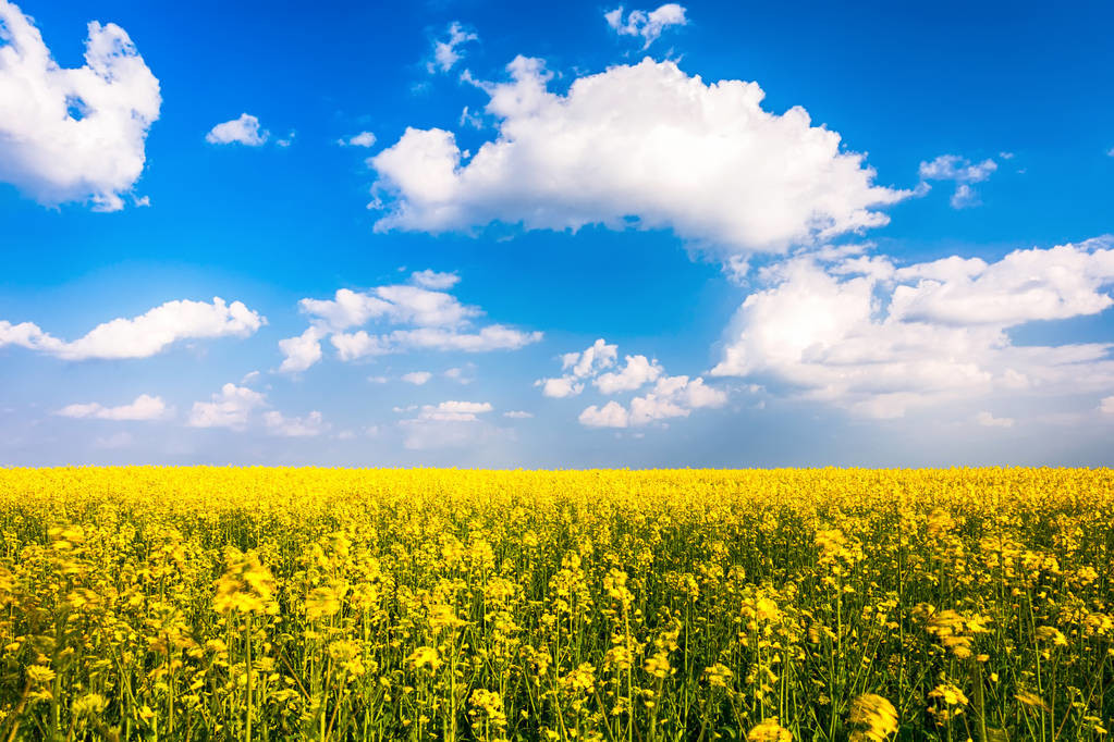 了解一种农作物的种植时间过程,种植各种农作物管理方法