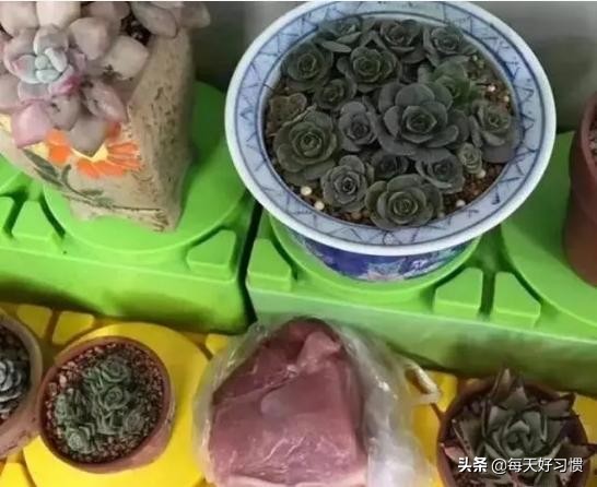 幼儿园老师叫孩子回家,幼儿园老师叫孩子自带零食