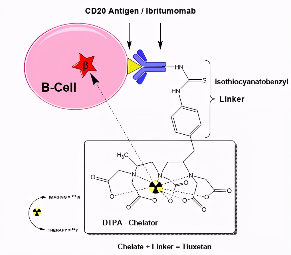 鏍哥礌rdc,鏍哥礌鍋惰仈鑽墿姒傚康