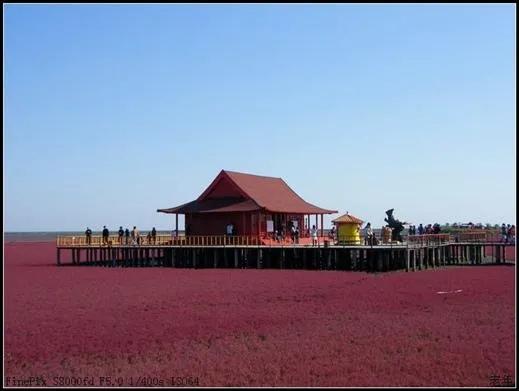 盘锦市到底怎么样,真实的盘锦是什么样子