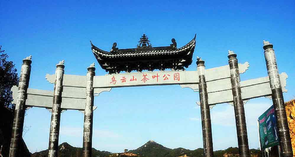 英山最大的茶叶基地,湖北英山县茶叶