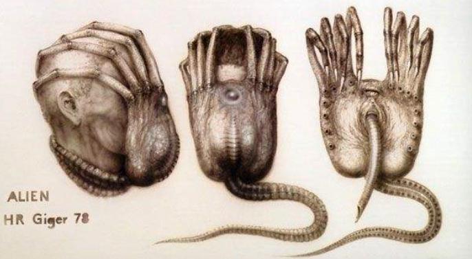 异形到底有多少种形态,异形到底存在吗