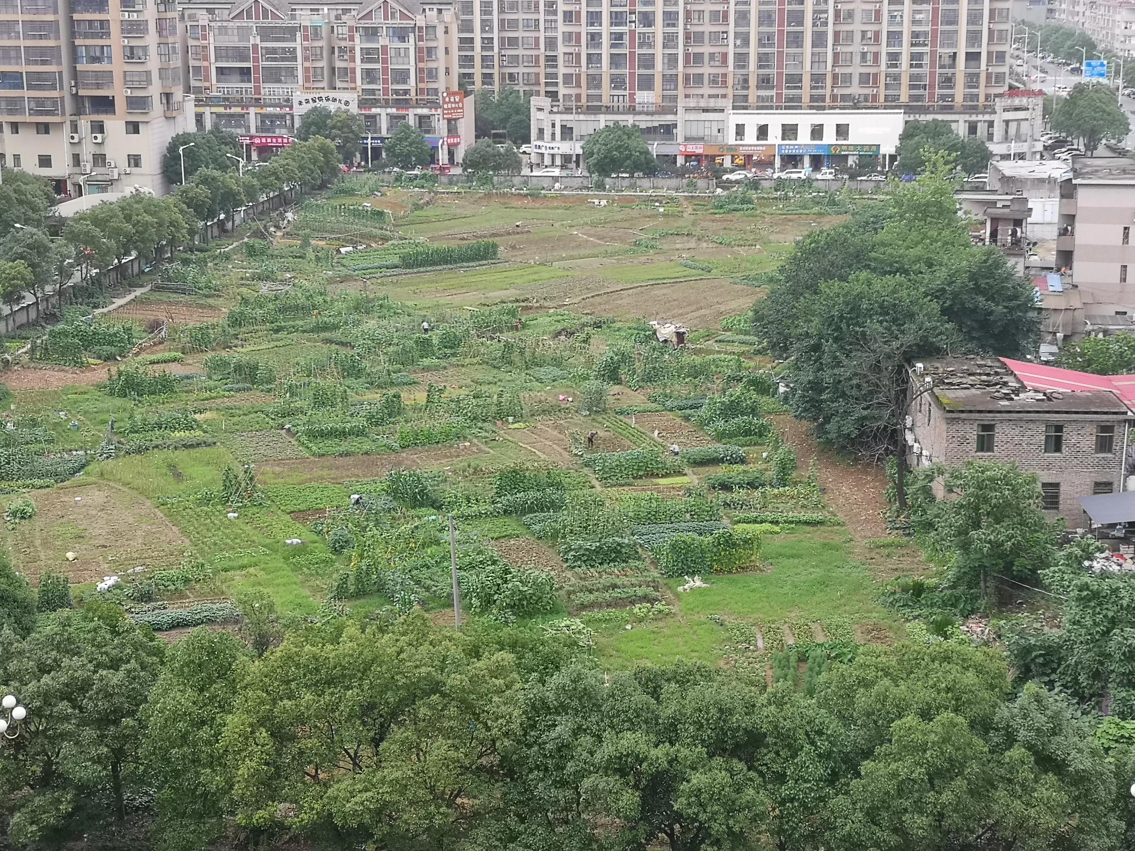 管中窥豹可见一斑感悟,管中窥豹可见一斑事例