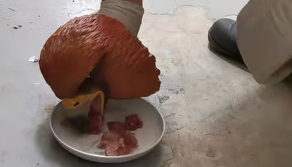 有多少南京人，获得过猫头鹰的祝福