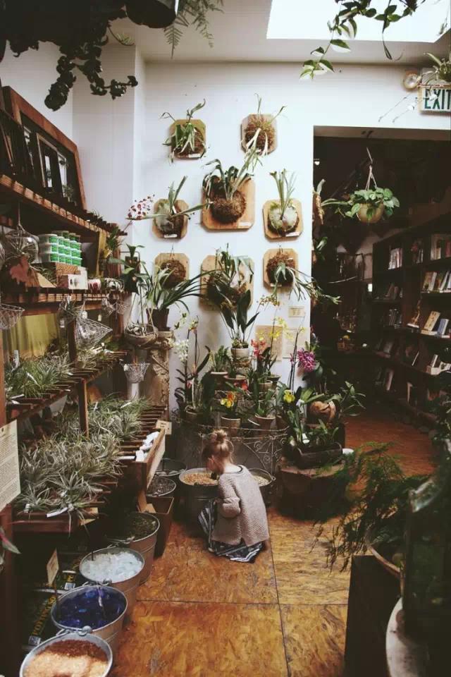 开家温暖小店遇见温暖的人,开一家温暖的小店等一位温暖的人