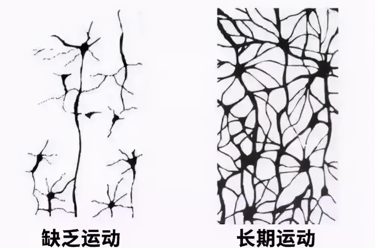 李玫瑾孩子多运动的好处,李玫瑾说12岁孩子要尽量运动