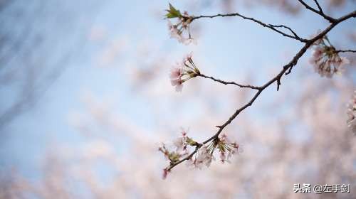 苏州上方山森林公园作文,苏州上方山国家森林公园电话