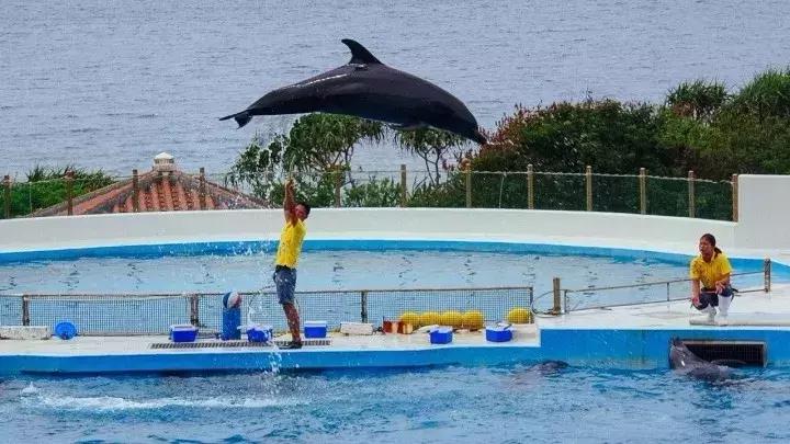 恋恋冲绳丨有一种海水的蓝，叫做“果冻蓝”