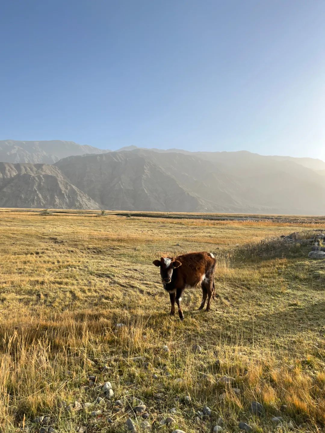 哪款手机拍照能比得上苹果13,iphone手机谁拍照最好用