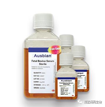 胎牛血清示意图,胎牛血清规格