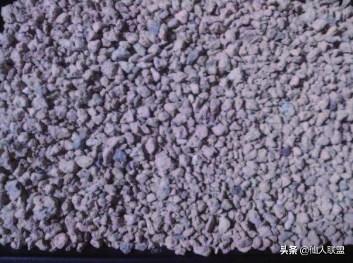 石食者THESTONEEATERS六