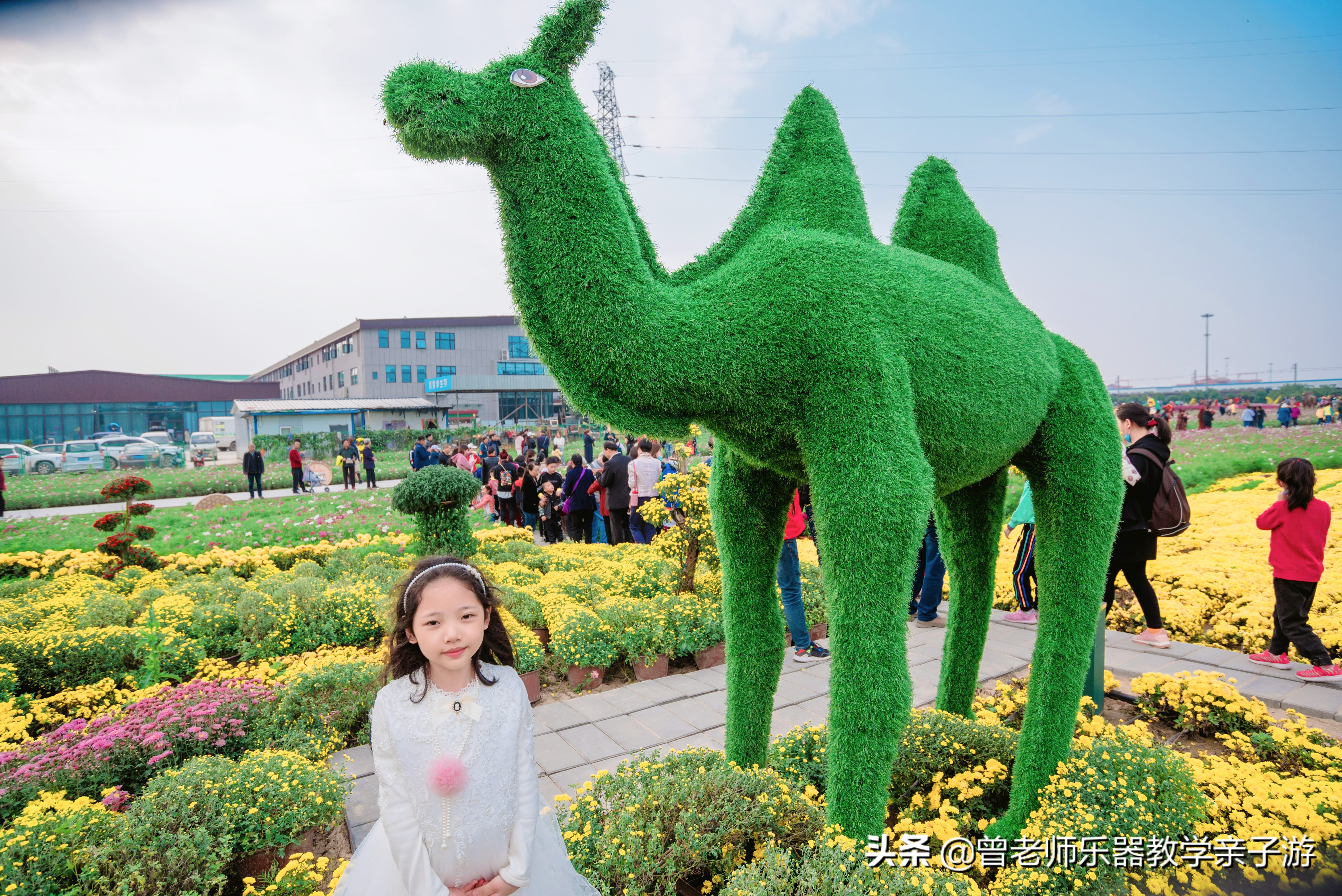爱菊研学游,爱菊丝路文化菊花园西安