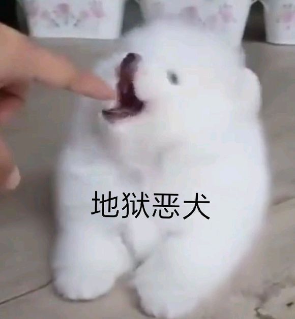 结膜炎流眼泪用眼药水没用怎么办,结膜炎眼睛流眼泪严重用什么药水