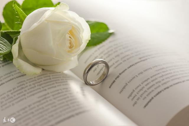 小说：同事故意把合同毁了让她出丑，怎料她直接把合同背了下来