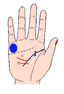看手相可以预测什么,手相能预测考试吗