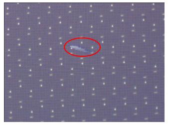 感光芯片清洁方案,摄像头csp芯片怎么清洗