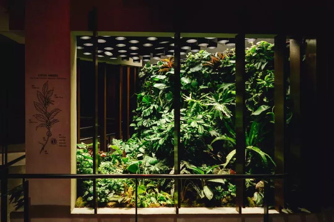 星巴克首席执行官哪里人,星巴克设计师工作室