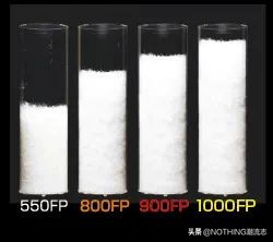 羽绒服加拿大鹅热销第一名,加拿大鹅最牛逼的哪款羽绒服