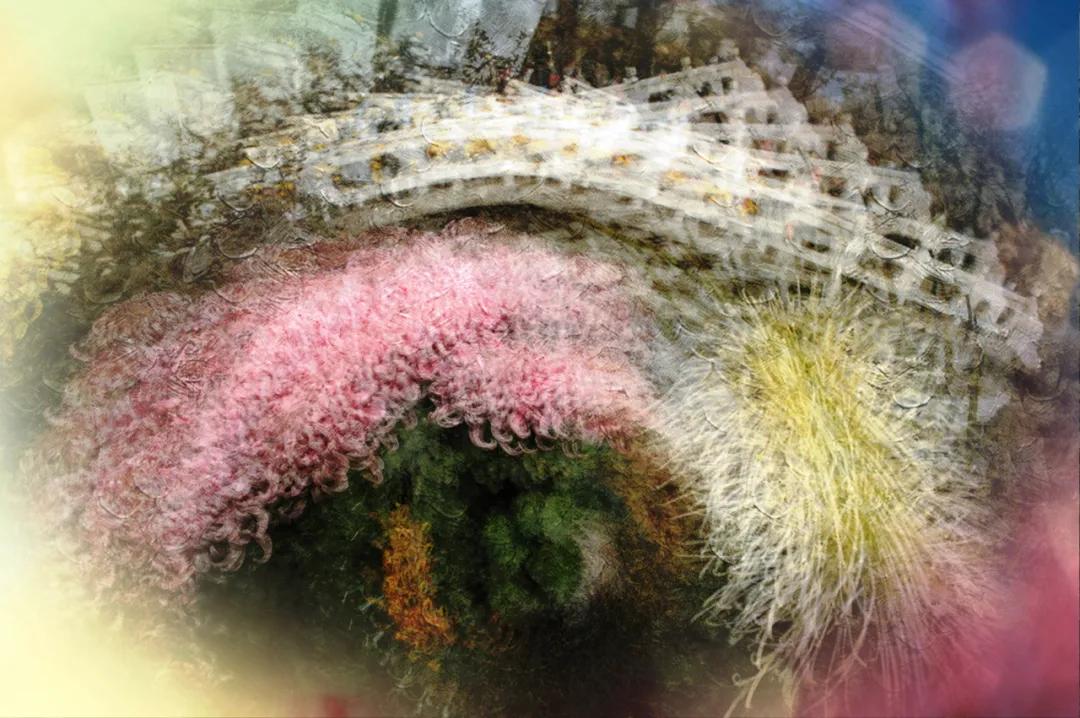 香港第14届全国摄影艺术展,第29届全国摄影艺术展览获奖名单