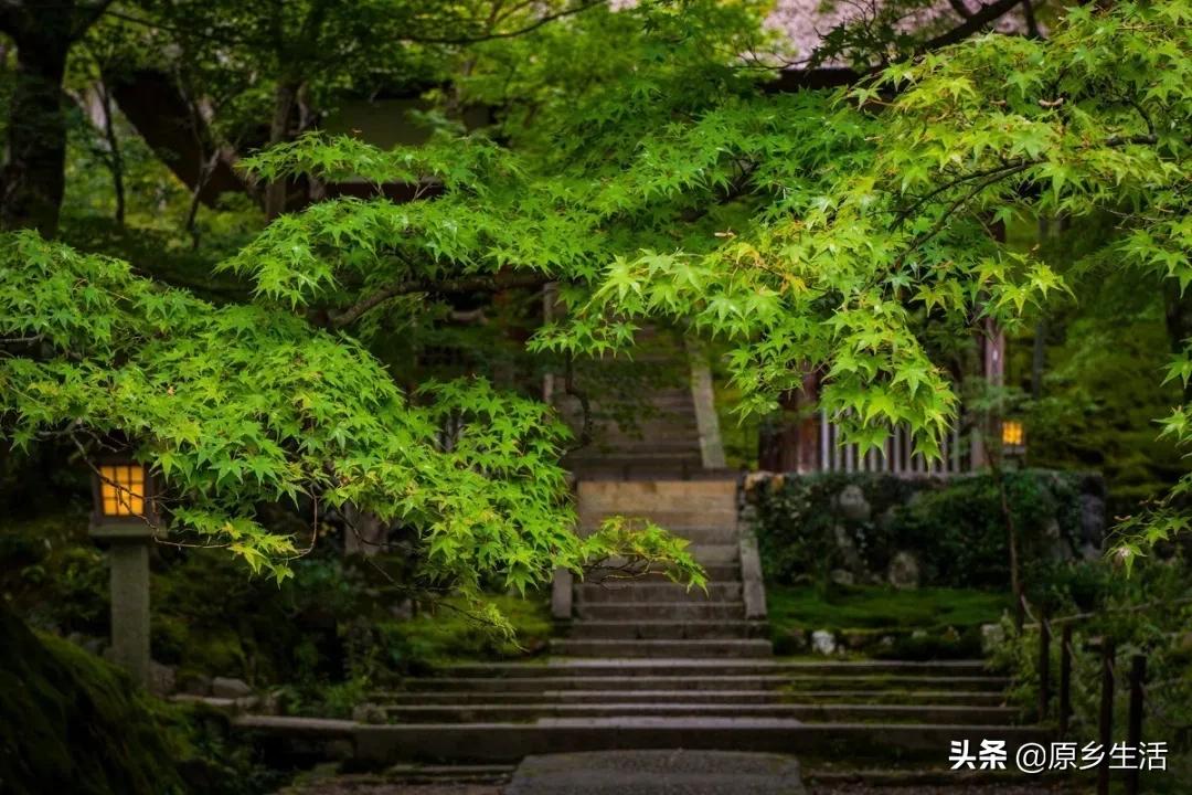 有一种生活方式叫快乐,有一种生活叫乡村