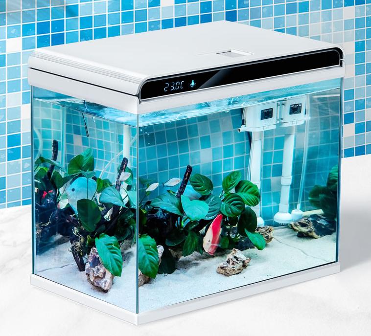 小米超白鱼缸带水草,超白玻璃鱼缸小米