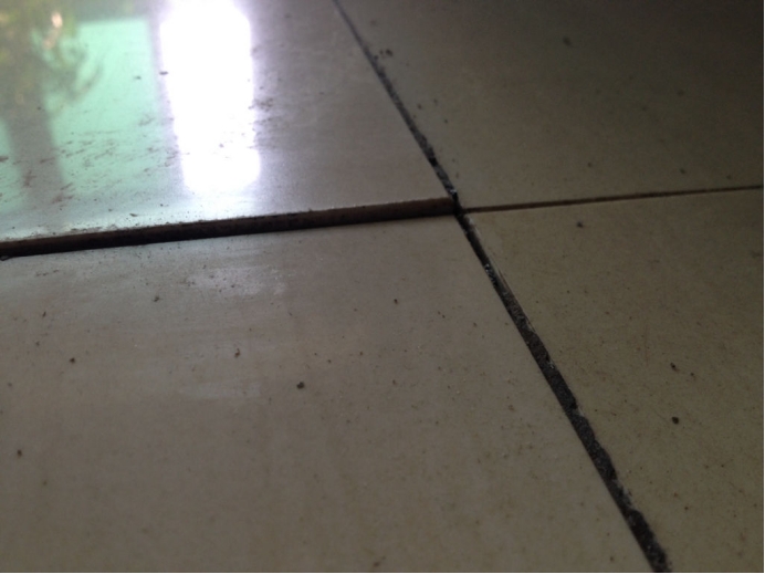 地板表面踩着有声音怎么处理,地板走动有响声