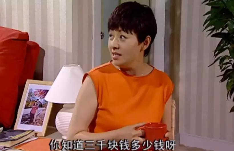 家有儿女刘星家到底是多有钱,家有儿女刘星家究竟多有钱