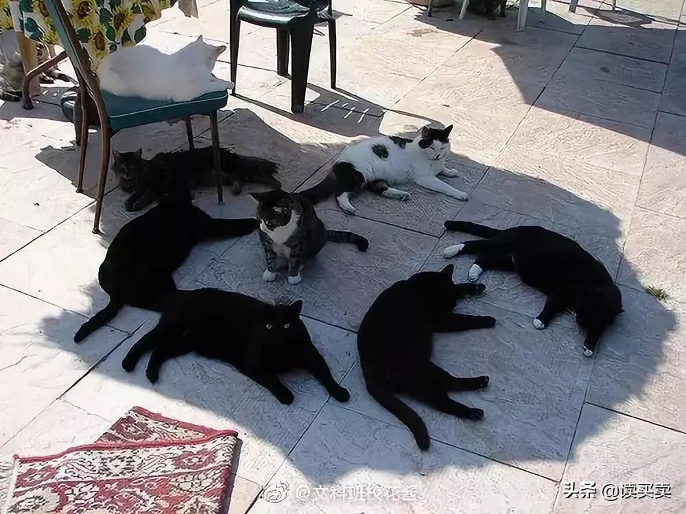 怎么样判断一个男生直不直男,怎么判断一个男的直不直男