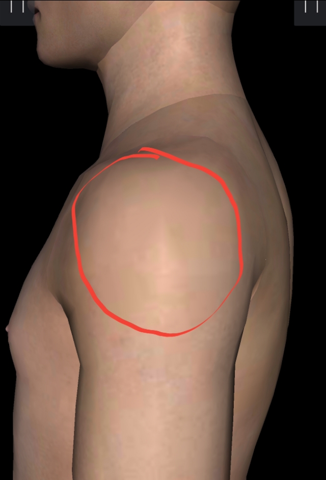 肩周炎胳膊疼痛怎样锻炼效果更好,肩周炎胳膊痛正确锻炼方法