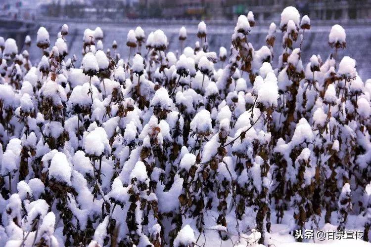 延安2019年第一次下雪是什么时候,延安初雪的时候