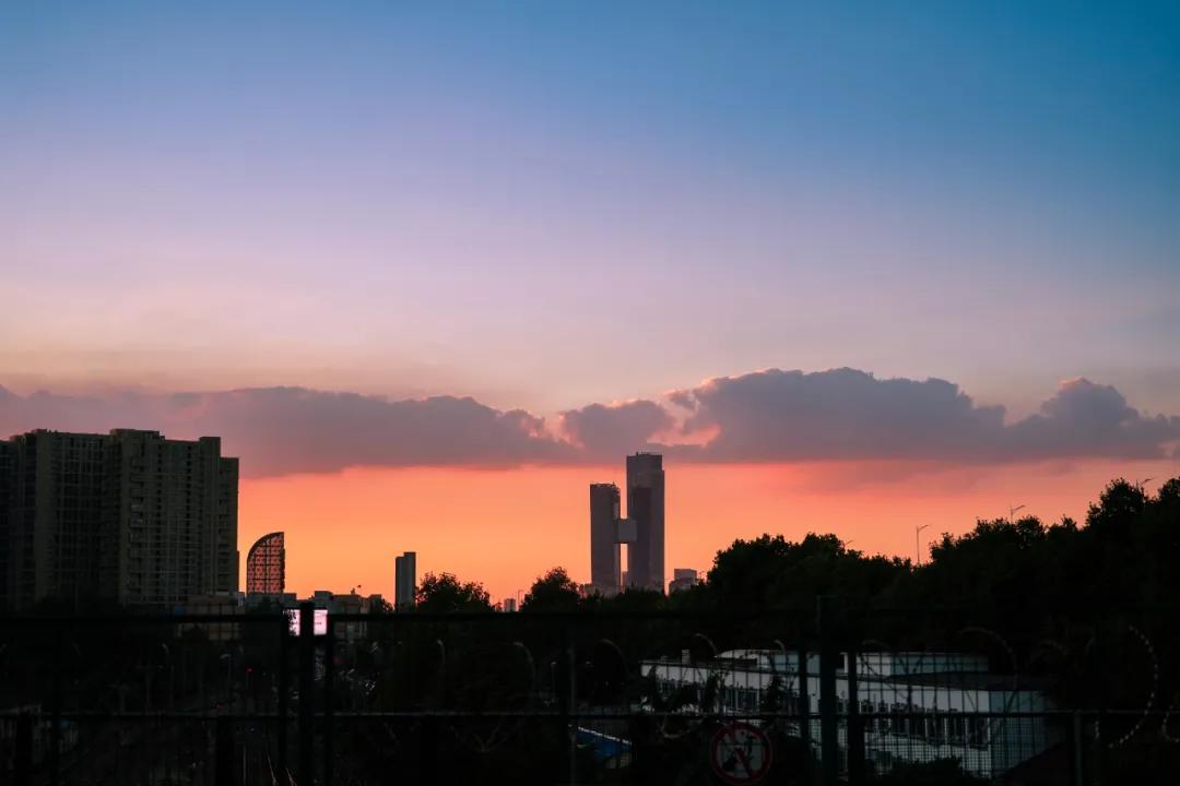 在南京吃早茶去哪里,从南京早起去苏州吃生煎