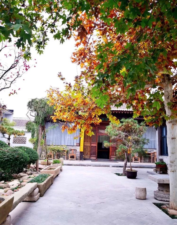 漫随天外云卷云舒原文,漫随天外云卷舒小说