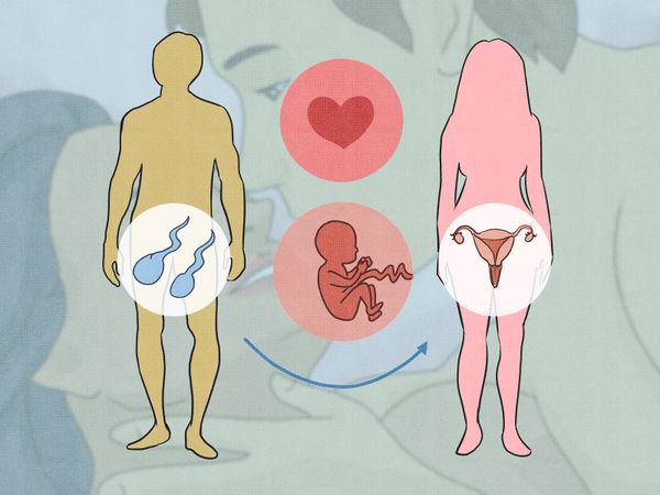 怎么回答小朋友我是从哪里来的,如何回答宝宝我是从哪里来的