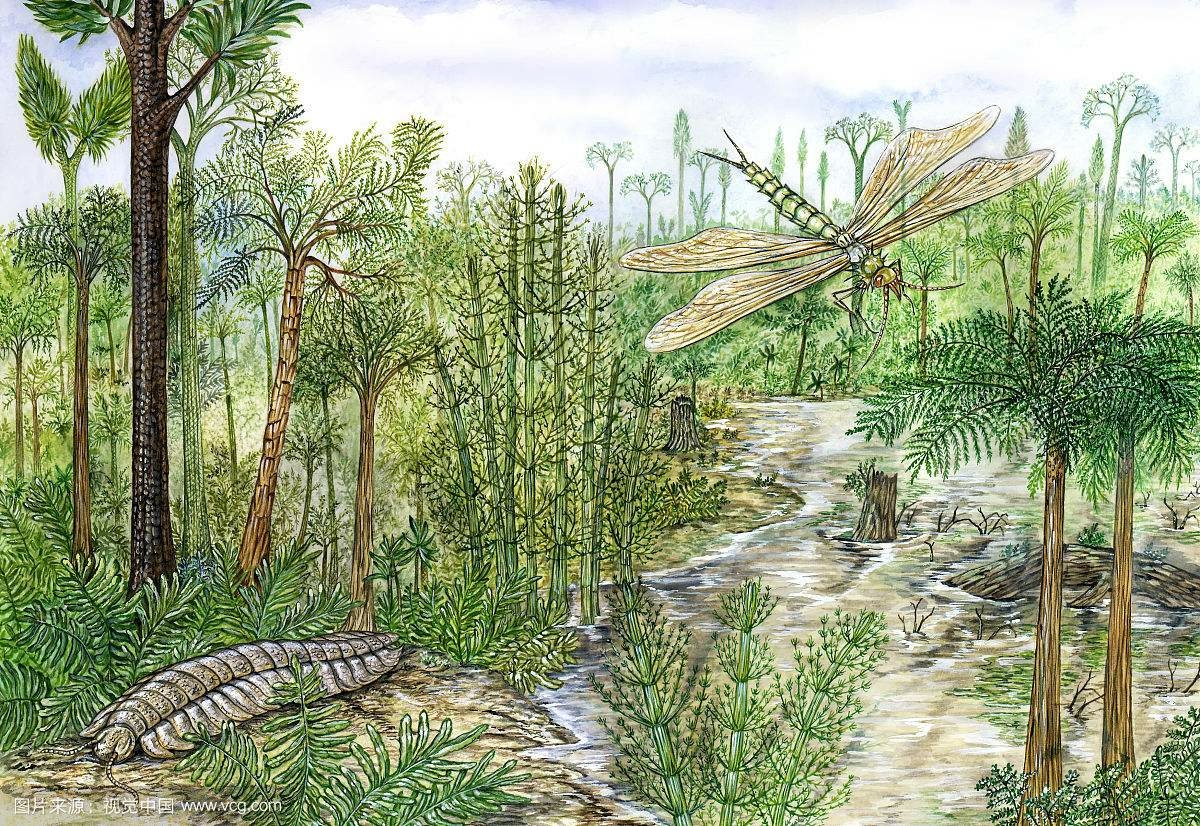 地球最大动物蓝鲸两百吨体重,地球最大的动物是什么动物