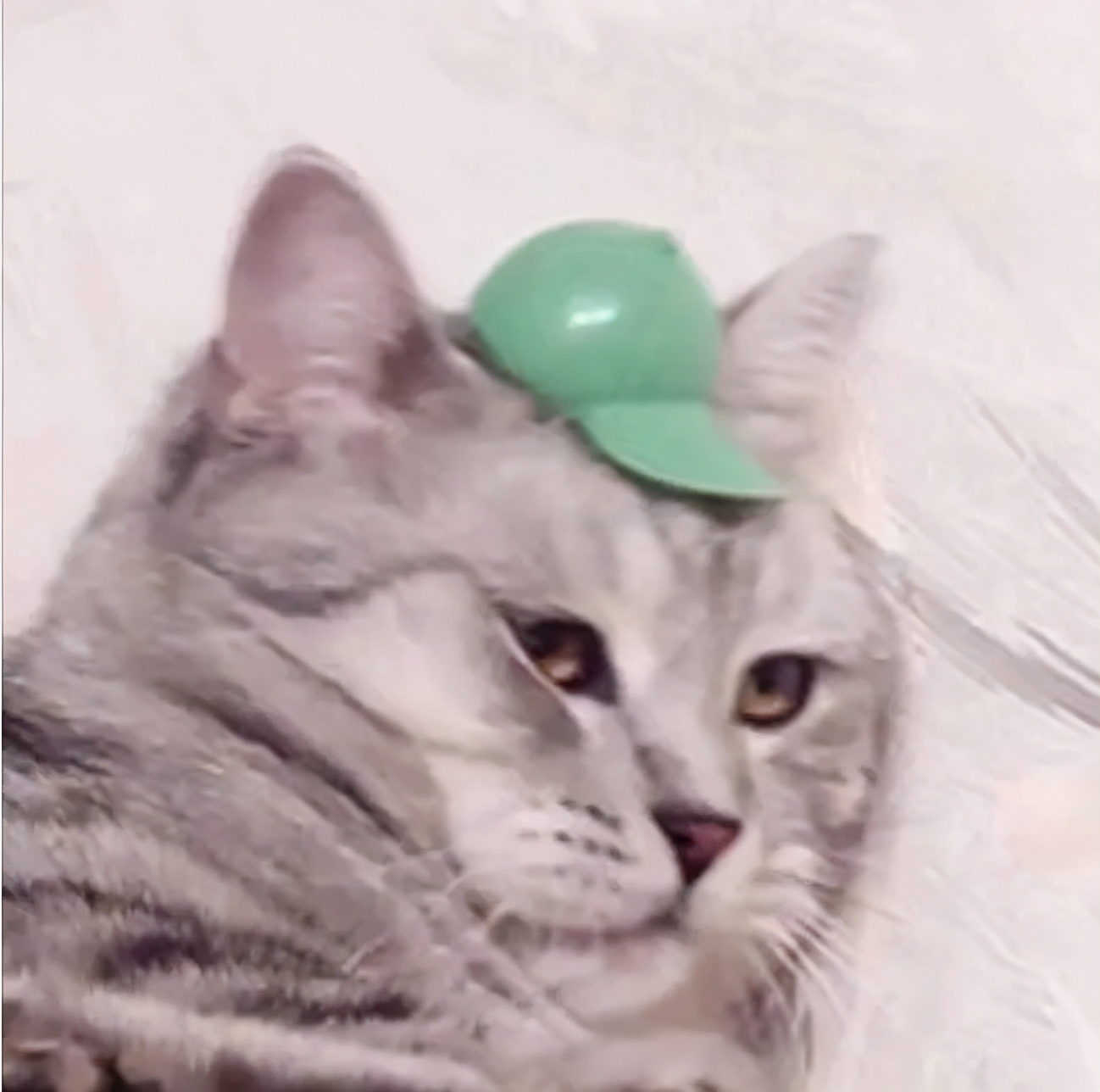 棒球帽白色和黑色帽子哪个显脸小,帽子大头围大脸显脸小