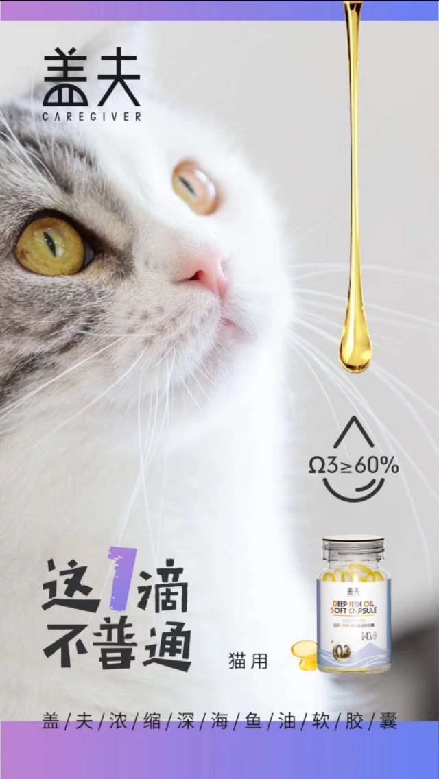 养猫养狗基本常识,养猫基本常识搞笑