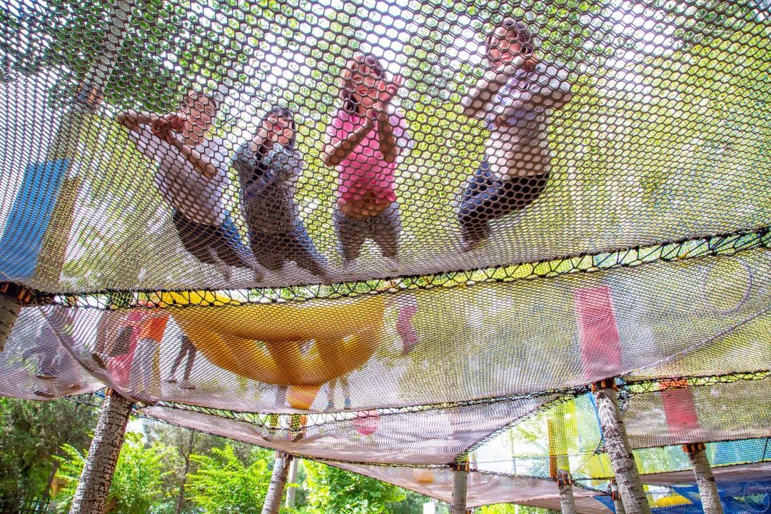 【FENG娱】来南宫五洲植物乐园体验火遍全网树上网绳乐园解压全靠它！