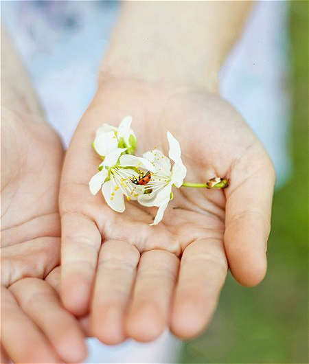科学实验好奇心,科学入门小实验