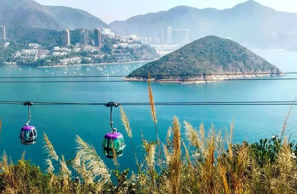 去香港海洋公园旅游全攻略,香港海洋公园游玩攻略