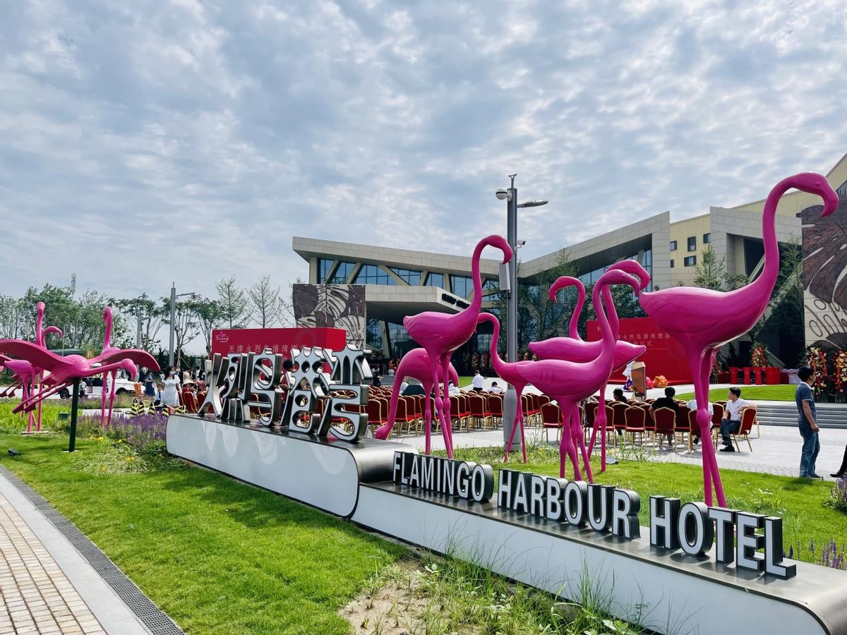 澄迈旅游攻略火烈鸟,中国哪个旅游地有火烈鸟