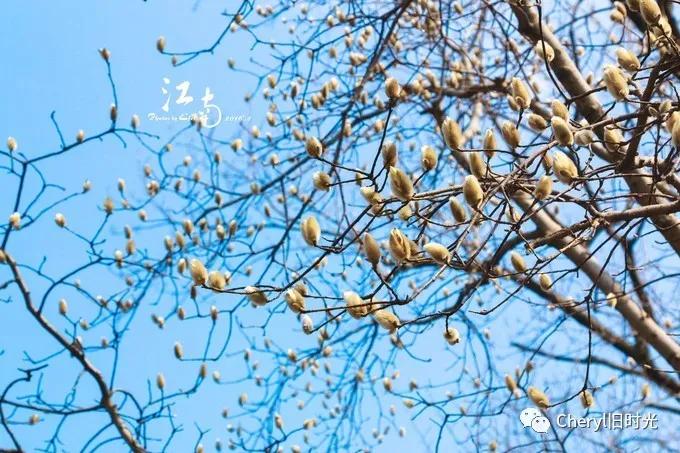 苏州旅游值得去的景点,去苏州旅游攻略最好的景点