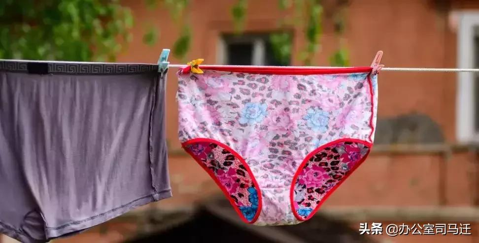 裤袜的演变过程,裤链的发展史