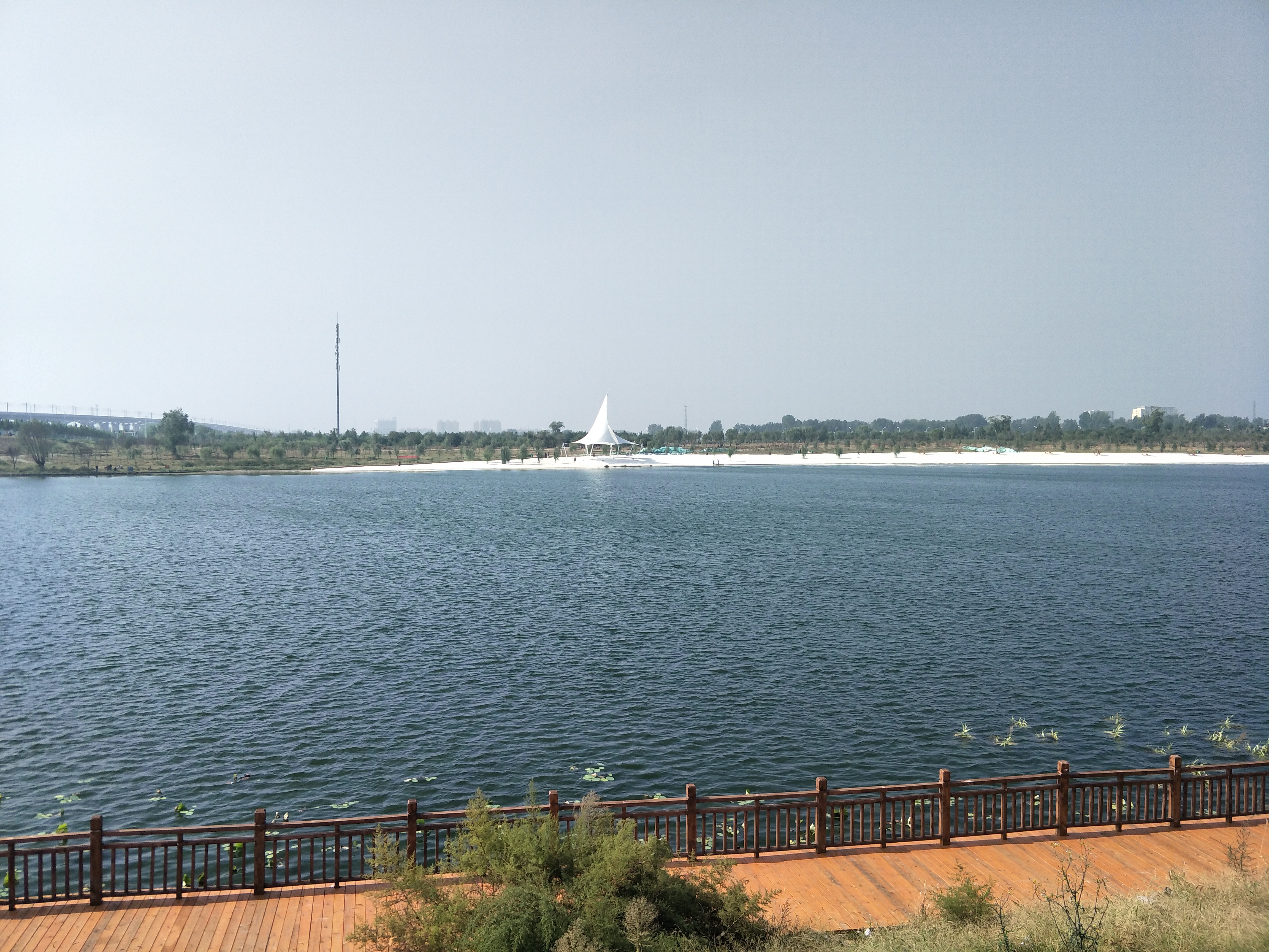 《淇河，我生命中的爱之恋》文/李红喜