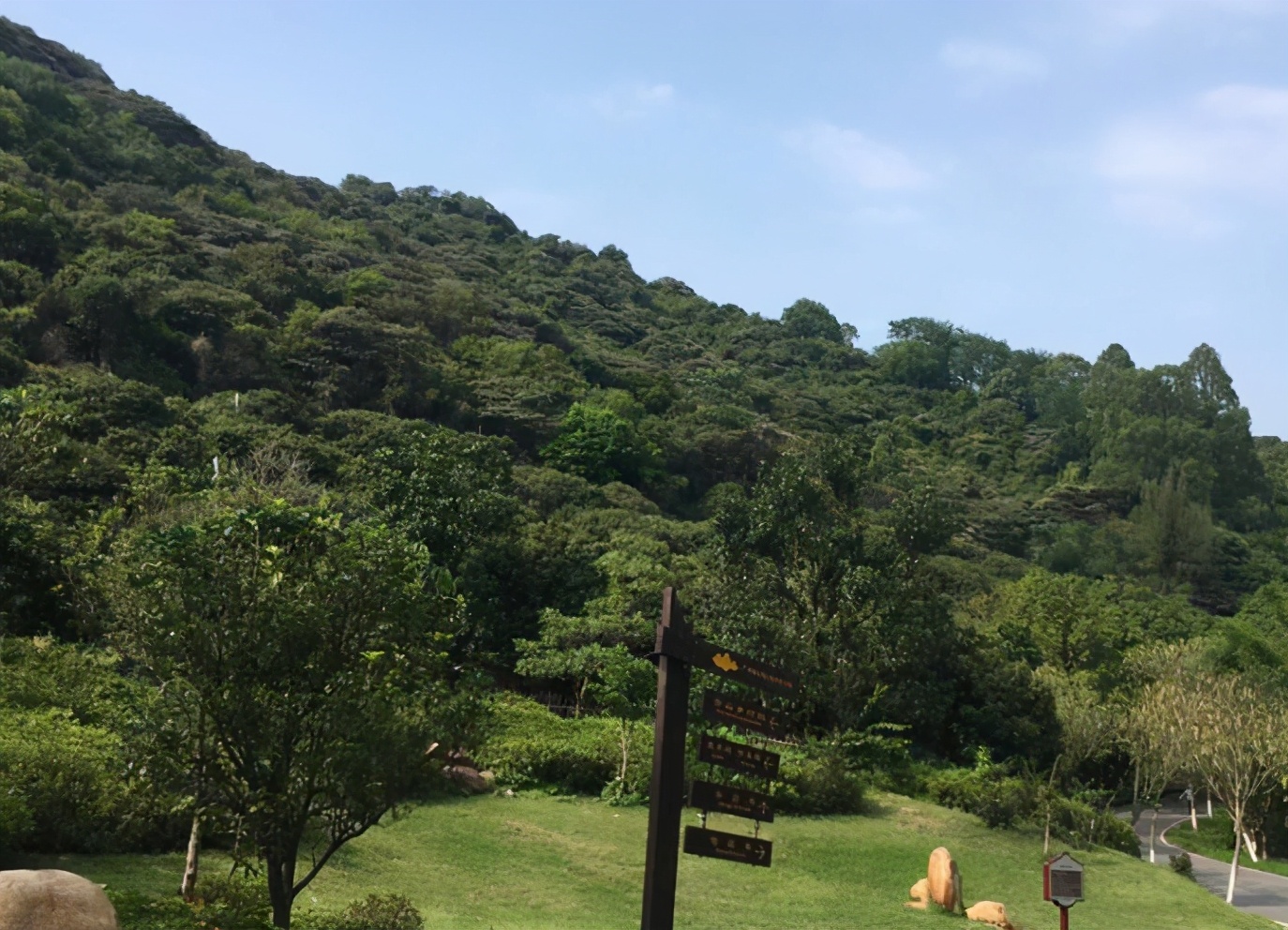 广州黄山鲁森林公园有多少个台阶,广州黄山鲁森林公园景观图片